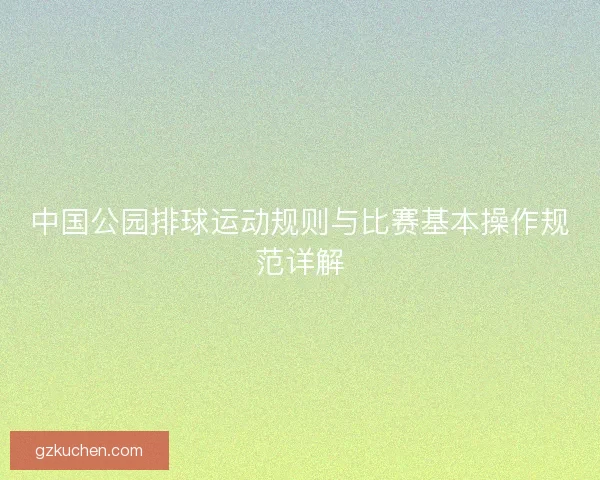 中国公园排球运动规则与比赛基本操作规范详解