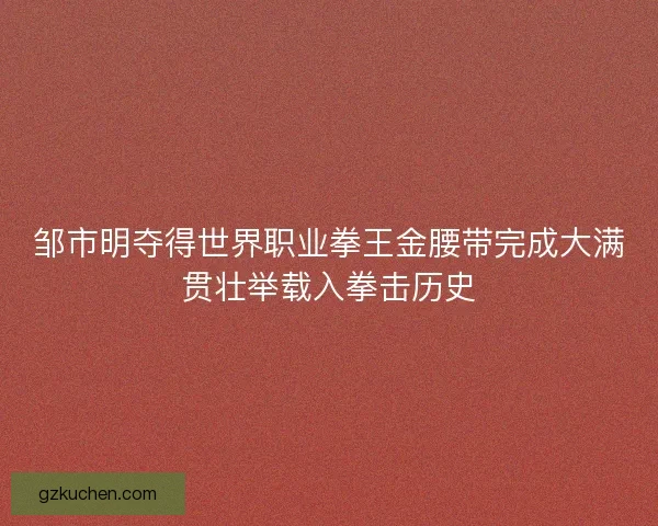 邹市明夺得世界职业拳王金腰带完成大满贯壮举载入拳击历史