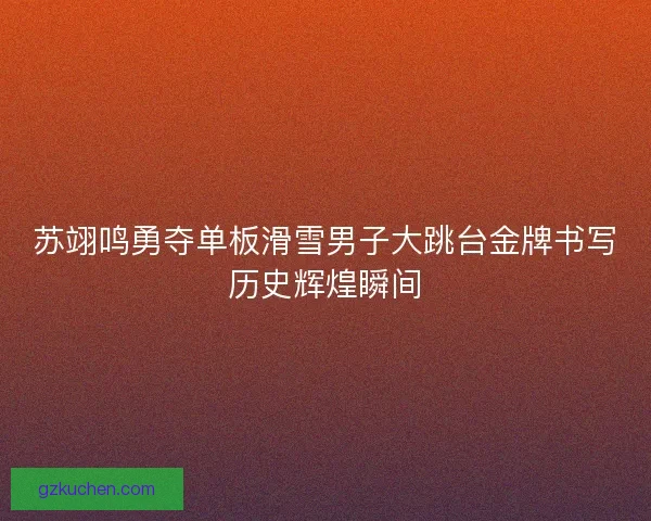 苏翊鸣勇夺单板滑雪男子大跳台金牌书写历史辉煌瞬间 苏翊鸣勇夺单板滑雪男子大跳台金牌书写历史辉煌瞬间